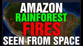 Amazon Rainforest Fires Can Be Seen From Space! Despair Merchantry [CLIP]
