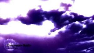 Solutions to the System