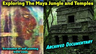 Exploring the Maya Jungle Finding Hidden Temples with Swarthy Maya on the Walls / Old Documentary