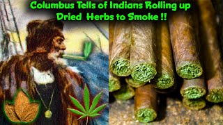 Columbus Said Indians From Cuba Rolling Up Dried Herbs in Tobacco Leaves To Smoke, Seen as a Luxury!