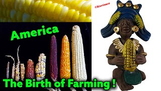 The Birth of Farming In America / Maize = Agriculture = Civilization / Ancient Genetic Modification