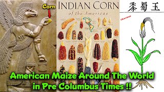 Truth about  American Corn in the Ancient World / Hindu Statutes / Key to the start of Civilizations