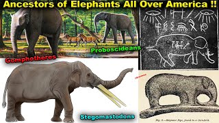 Ancestors of Elephants All over America / Origin of Proboscideans / Mound Effigy / Petroglyphs