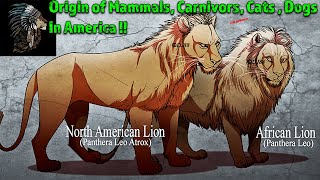 What Lion King? – Origin of CATS, DOGS, CARNIVORES, & MAMMALS in AMERICA !!