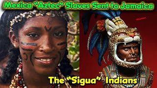 The Sigua / Mexica “Aztec” Warriors enslaved in Costa Rica and Taken to Jamaica / Montezuma’s