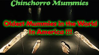 Chinchorro mummies Oldest Mummies in The World / Origin of Camels, Origin of Food Crops of The World