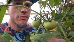 One Day People Will Learn You Can't Eat Money