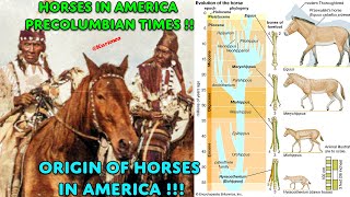 The Horse in America Pre-Columbian Times !! Deconstructing a Eurocentric Myth / Origins of the Horse