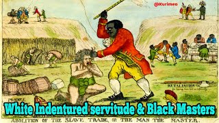 White Servitude & Free Negro Masters // The Untold truth of American Slavery / Indentured Service