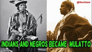 1705 Statute Act Defines a mulatto as a Child of an Indian, & Child of a Negro. No MIXTURE!!