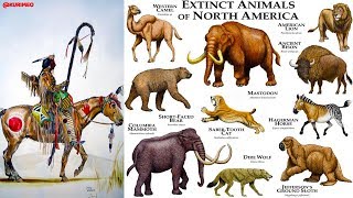 Pt. 9 – Untold Ancient American Truth / Origin of Animals / Mammals, Camels, Horses, Dogs