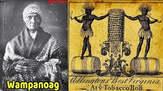 Pt. 20 – From Indigenous American to  African American / First “negro” slaves (Indians) in 1526
