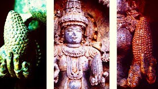Pt. 2 – Corn // Undeniable  PROOF of Maize in India before Columbus !!