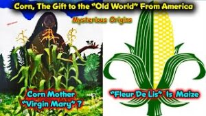 Maize - The Gift Of The Great Spirit To The Amaru Khans / Fleur De Lis / Corn In The Ancient World !
