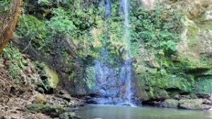 Somewhere In PARADISE - Kurimeo in the Recreational Park, Los Manantiales - Alajuela, Costa Rica